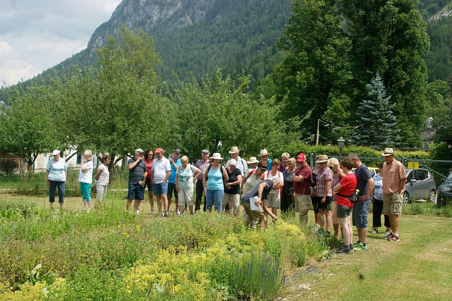 Mitglieder des Obst- und Gartenbauvereins PillerseeTal bei einer lehrreichen Exkursion, umringt von der natürlichen Pracht ihrer Region.