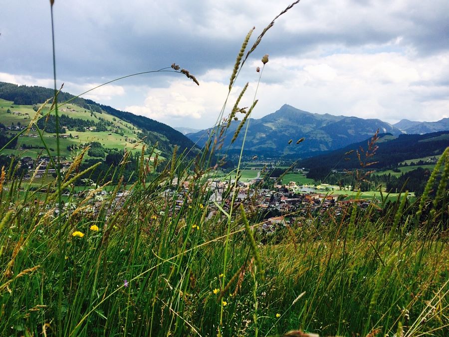 Kitzbueheler-Alpen Panorama Sommer_Kirchberg-in-Tirol_Foto Katharina Szücs