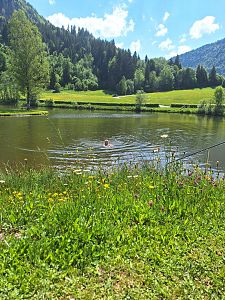 Lauchsee