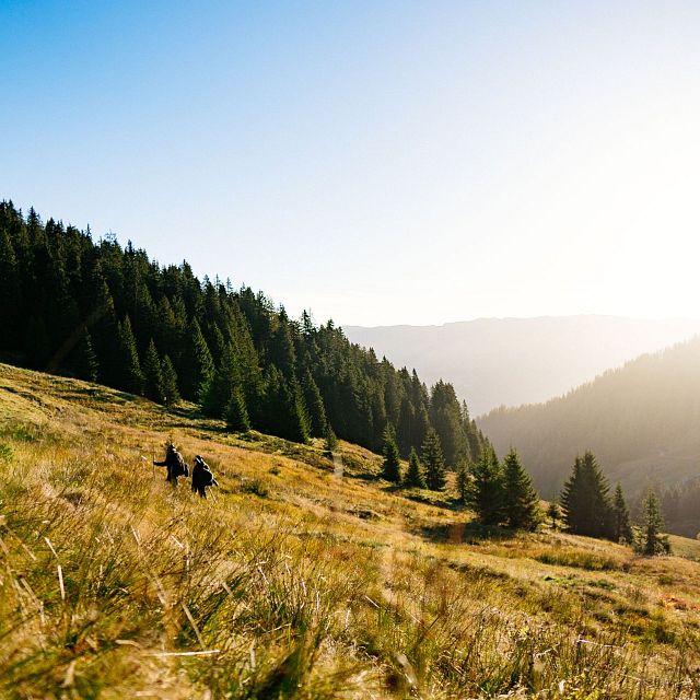 Levenswegen-Blog-Bärig-Tirol-Kirchberg-Kitzbüheler-Alpen-Anna-Heim