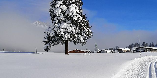 Blick auf Hochfilzen von der Dorfloipe (c) Marion Pichler