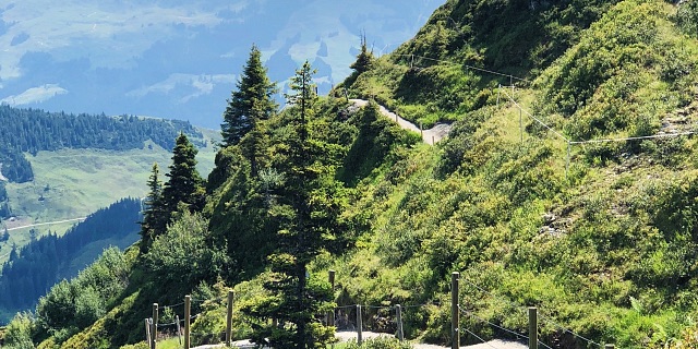 Ellen van Duijn Kitzbueheler Alpen Oostenrijk