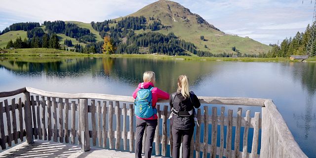 Lebenswege - Claudia Entleitner - Magie der Harfe